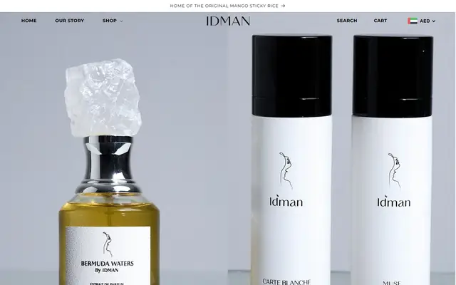IDMAN website homepage