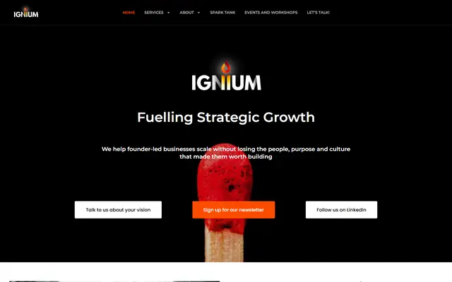 Ignium Consulting website homepage